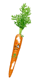 buddhist carrot